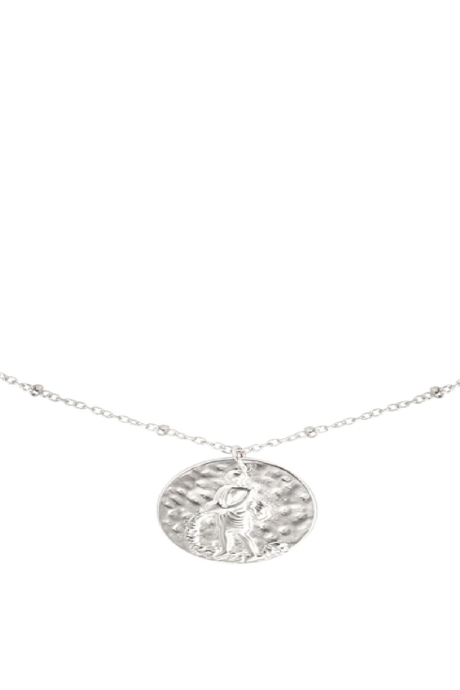Necklace Constellation - Aquarius Silver Color Stainless Steel Picture3